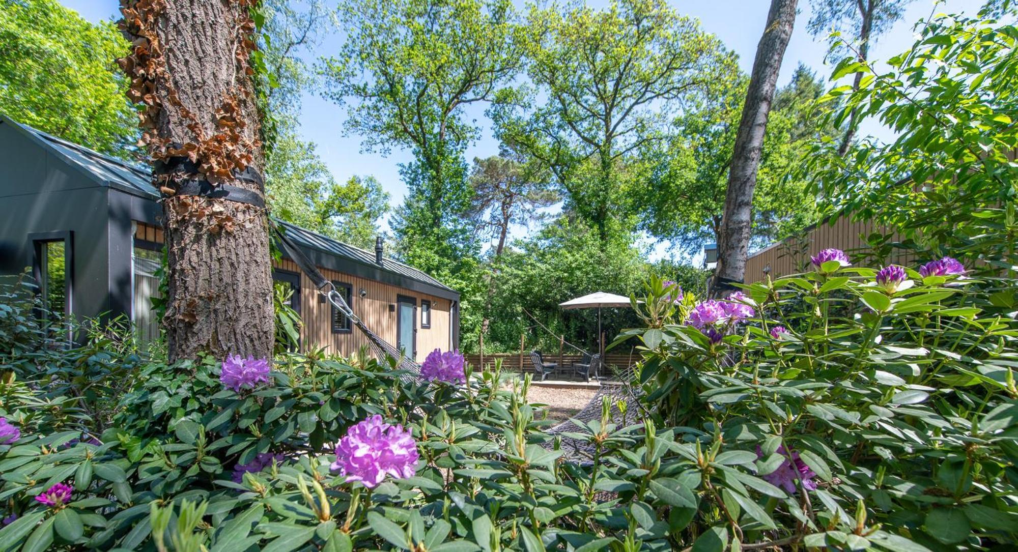 Tinyhouse Grasmus Βίλα Nunspeet Εξωτερικό φωτογραφία